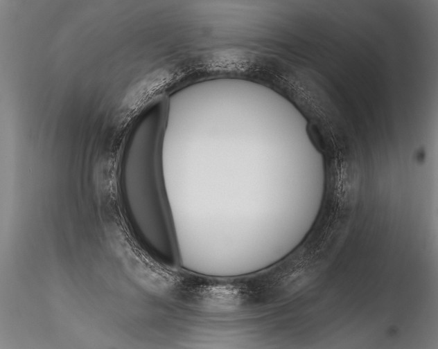 X0000116380692200912161501