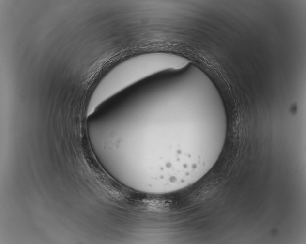 X0000116380693200912161501