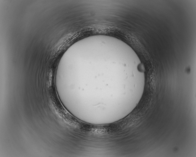 X0000116380694200912161501