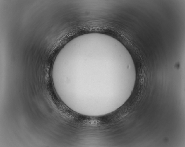 X0000116380695200912161501