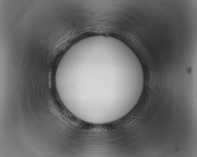 X0000116380696200912161501