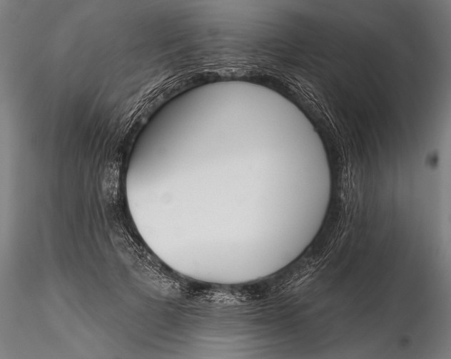 X0000116380697200912161501