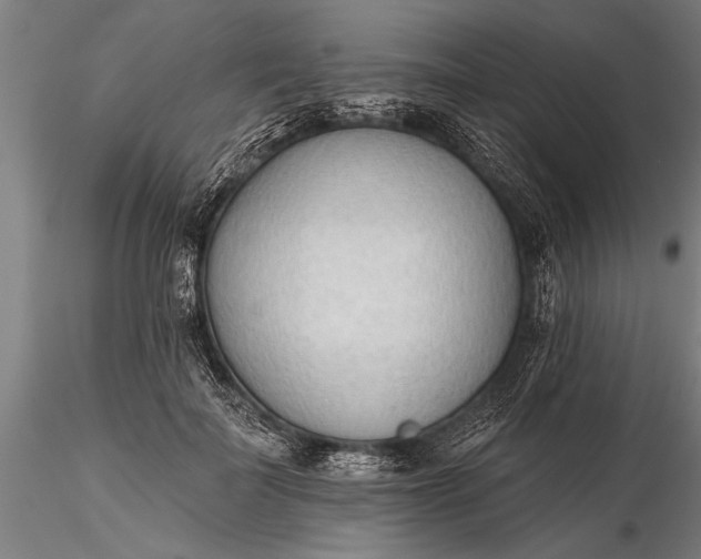 X0000116380699200912161501