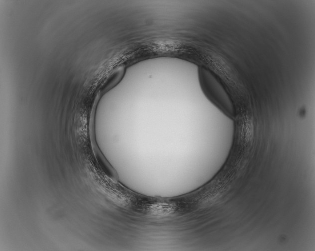 X0000116380700200912161501