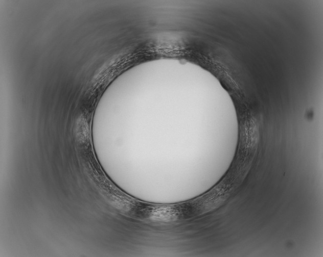 X0000116380705200912161501