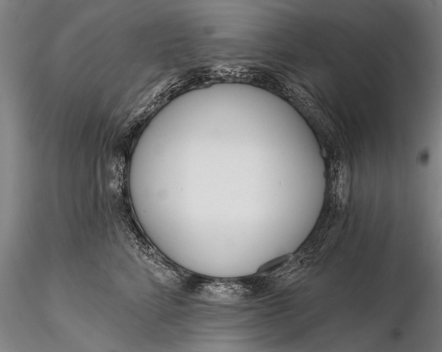 X0000116380712200912161501