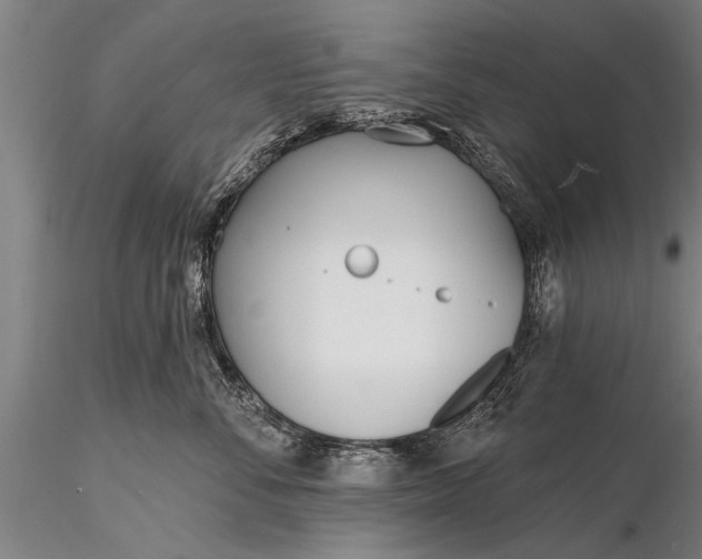 X0000116380716200912161501