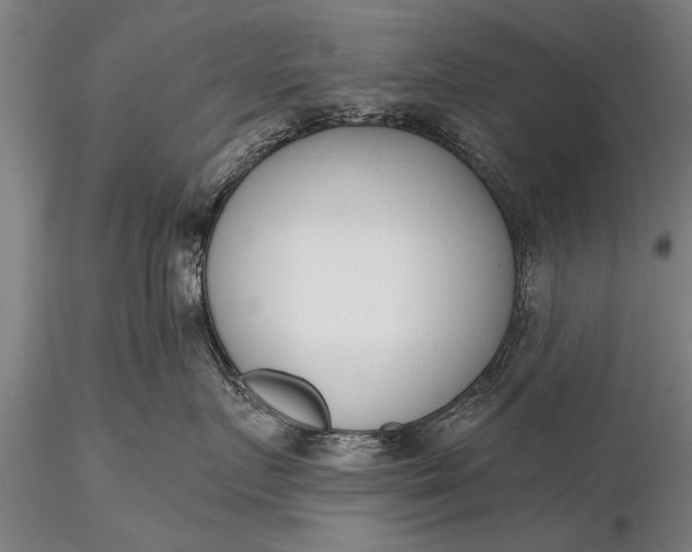 X0000116380719200912161501