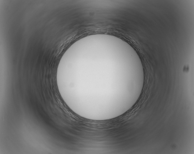 X0000116380720200912161501