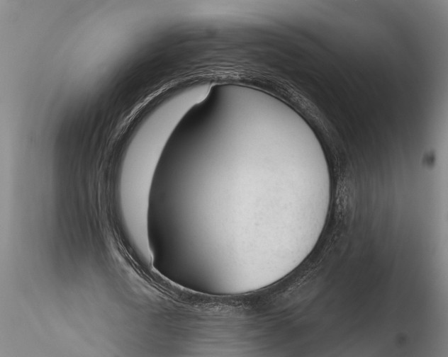 X0000116380722200912161500