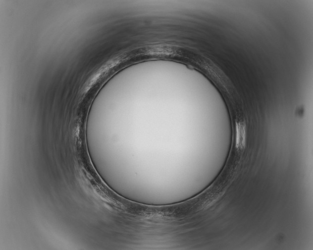 X0000116380723200912161500