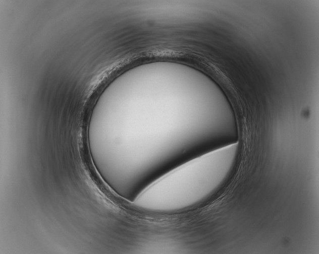 X0000116380725200912161500