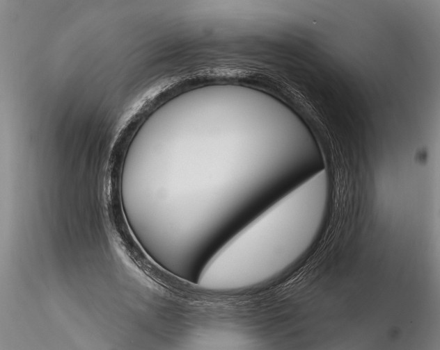 X0000116380726200912161500