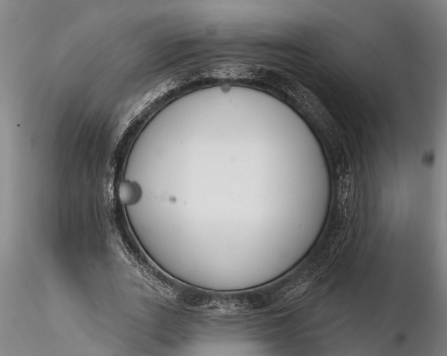 X0000116380727200912161500
