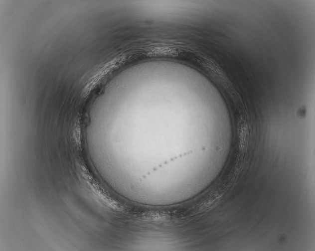 X0000116380729200912161500