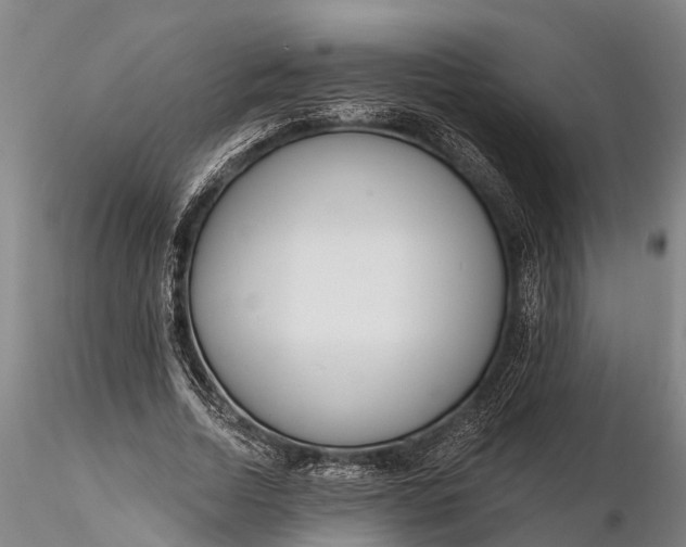 X0000116380730200912161500