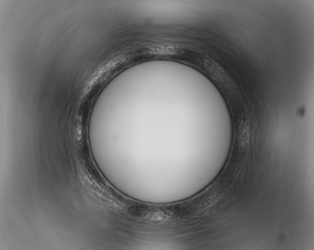 X0000116380731200912161501