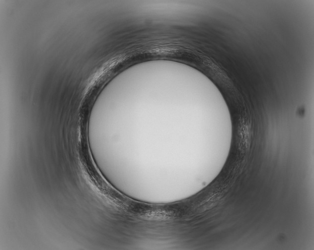 X0000116380734200912161501