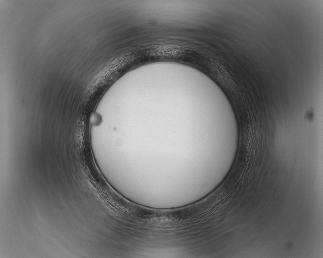 X0000116380735200912161501