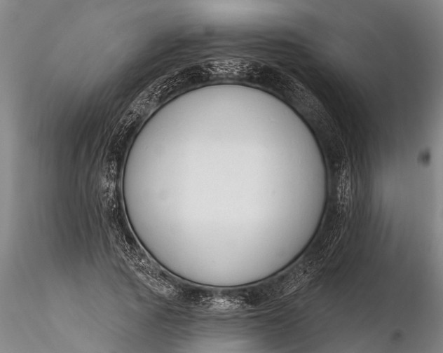 X0000116380737200912161501