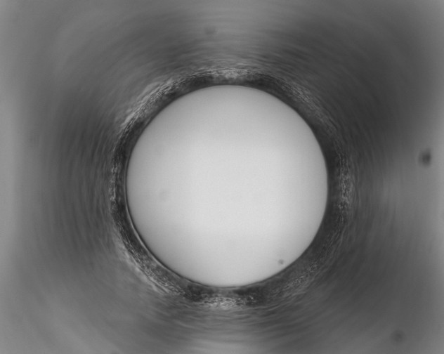 X0000116380738200912161501