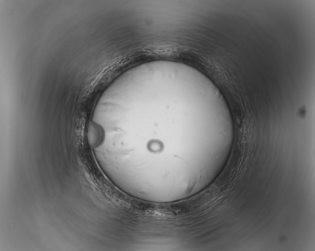 X0000116380739200912161501