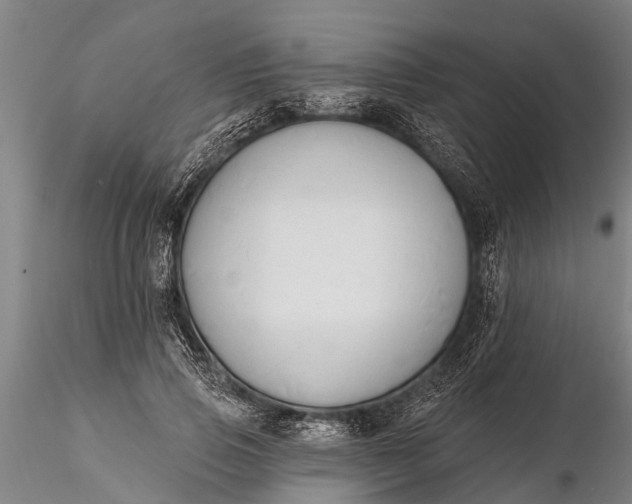 X0000116380741200912161501