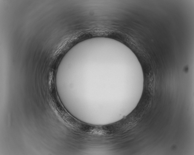 X0000116380742200912161501