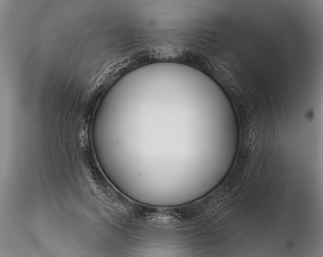 X0000116380743200912161501