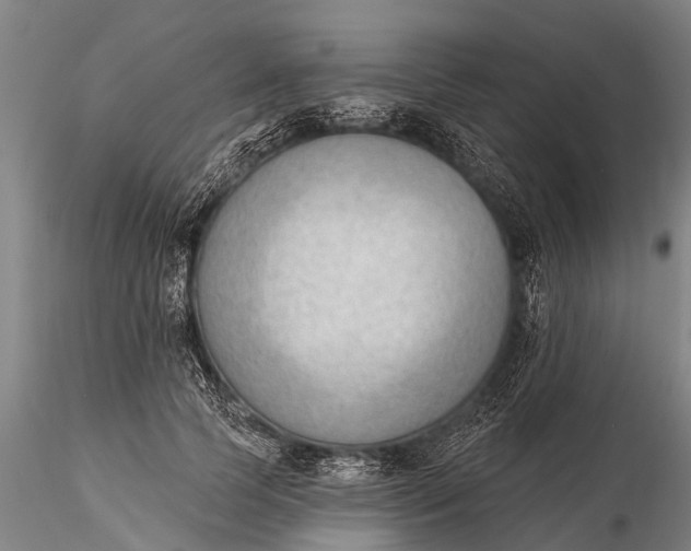 X0000116380745200912161501