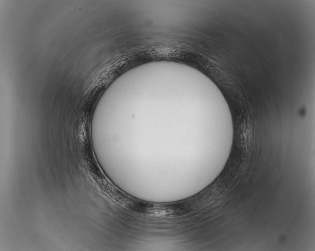 X0000116380746200912161501