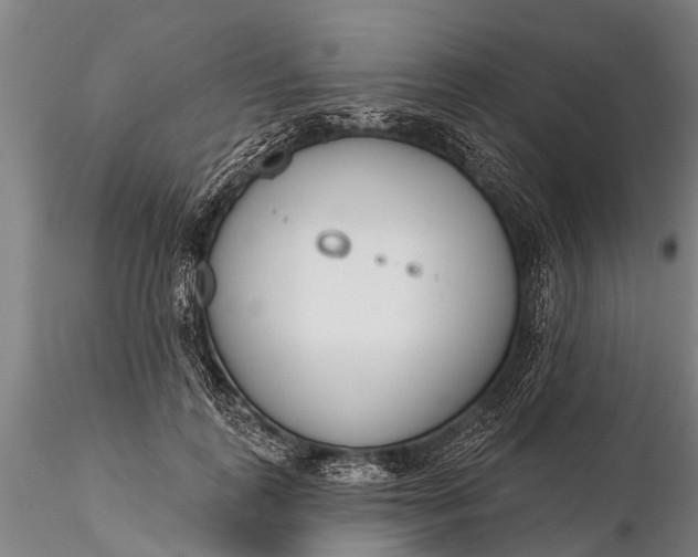 X0000116380747200912161501