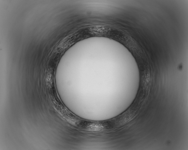 X0000116380749200912161501