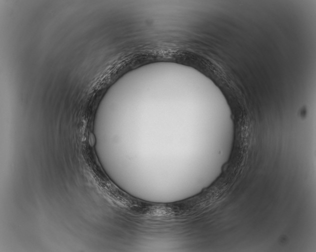 X0000116380750200912161501