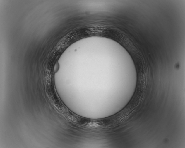 X0000116380751200912161501