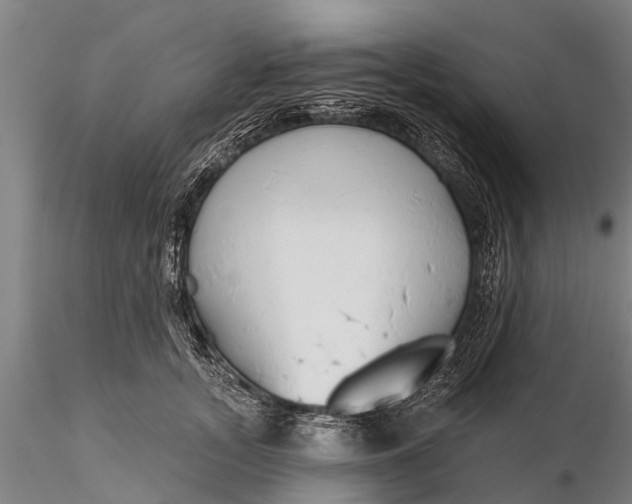 X0000116380755200912161501