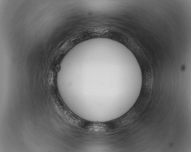 X0000116380758200912161501