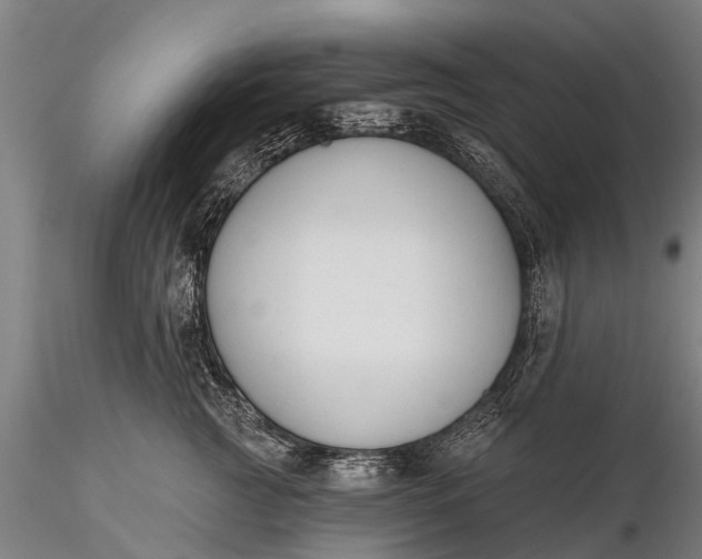X0000116380761200912161501