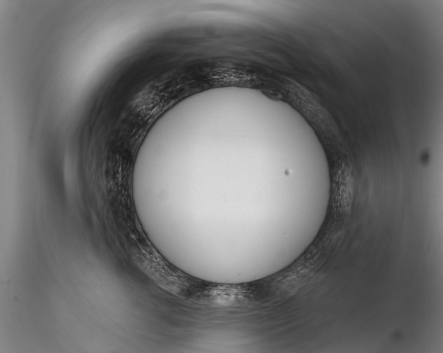 X0000116380762200912161501