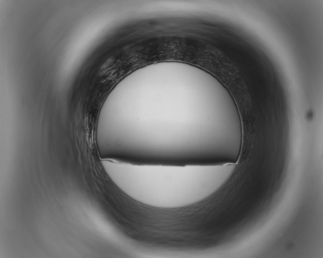 X0000116380766200912161501