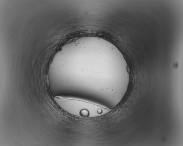 X0000116380769200912161500