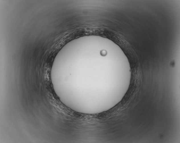 X0000116380770200912161500