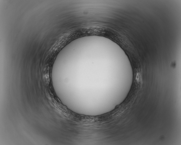 X0000116380771200912161500