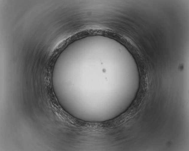 X0000116380775200912161500