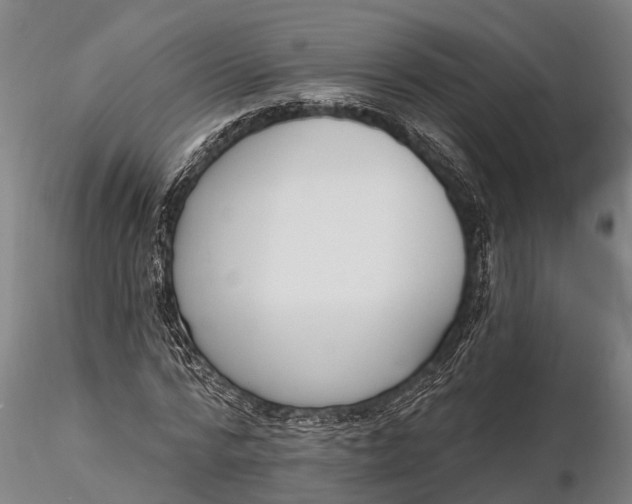 X0000116380776200912161500