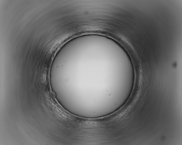 X0000116380777200912161500