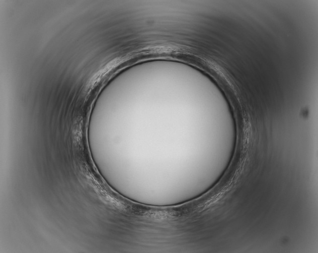 X0000116380778200912161500