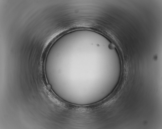 X0000116380779200912161500