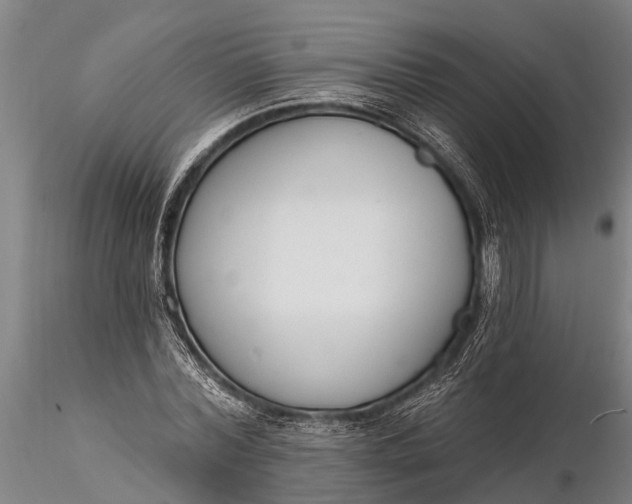 X0000116380780200912161500