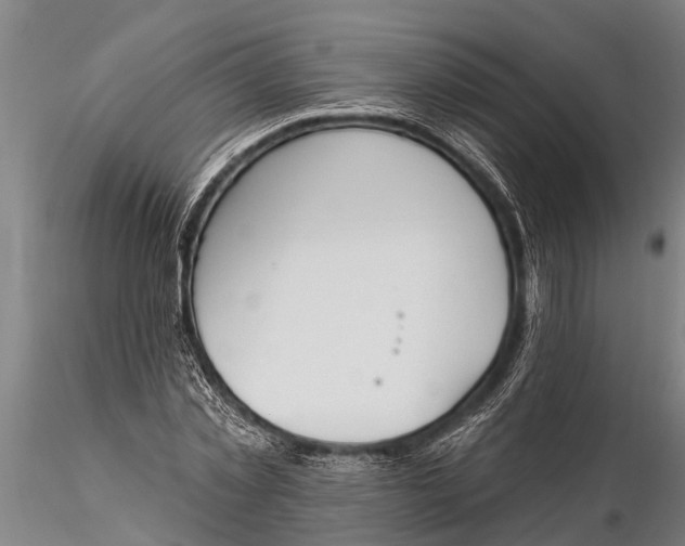 X0000116380781200912161500